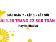Bài 1.28 SGK Toán 7 tập 1 Kết nối tri thức